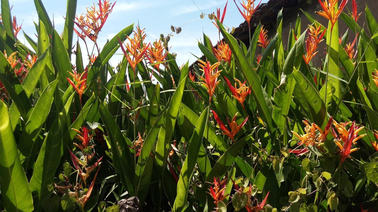 Sonhos Meu Pousada Praia de Boraceia 外观 照片